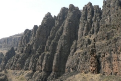 Organ Pipes