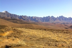 Phillip's Folly View