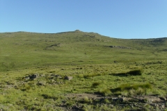 Redi Peak