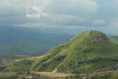 Vaalribbokkop