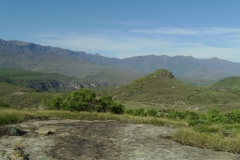 Vaalribbokkop