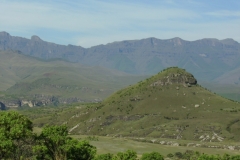 Vaalribbokkop