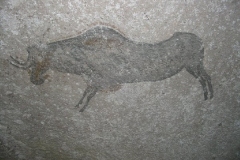 Cat Cave