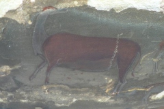 Christmas Shelter