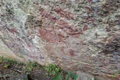 Boundary Rock Praying Mantis