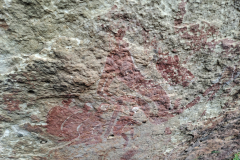 Boundary Rock Praying Mantis