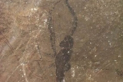 Speirs' Cave