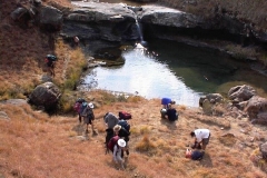 Cedric's Pool