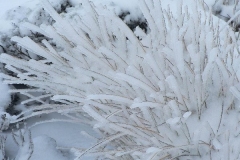 Icicles