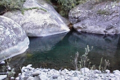 Silt Rock