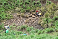 Sulphur Spring