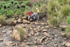 Sulphur Spring