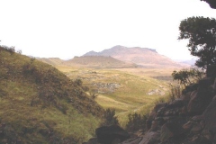 The Island